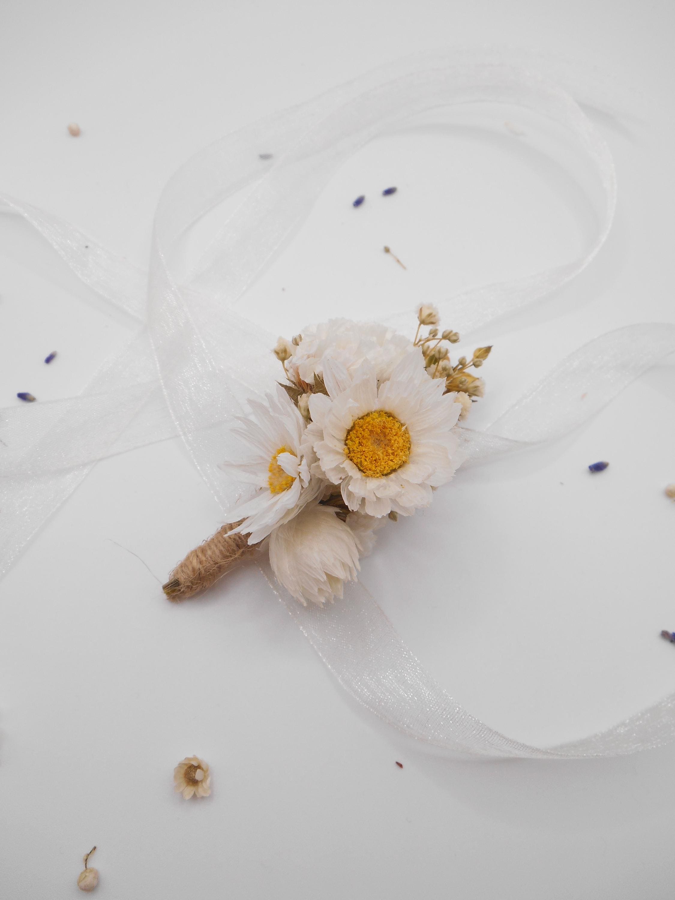 Haarkamm mit weißer Margerite & Schleierkraut | Klassischer Braut-Haarschmuck aus Trockenblumen, minimalistisches Accessoire für Hochzeitsgäste, elegante Blumenklammer