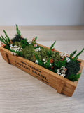 Grünes Gesteck mit Moos und Trockenblumen, Geschenk für Ihn, Schreibtisch- und Wohnzimmerdeko 