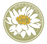 Soft Wildflowers Studio – Home