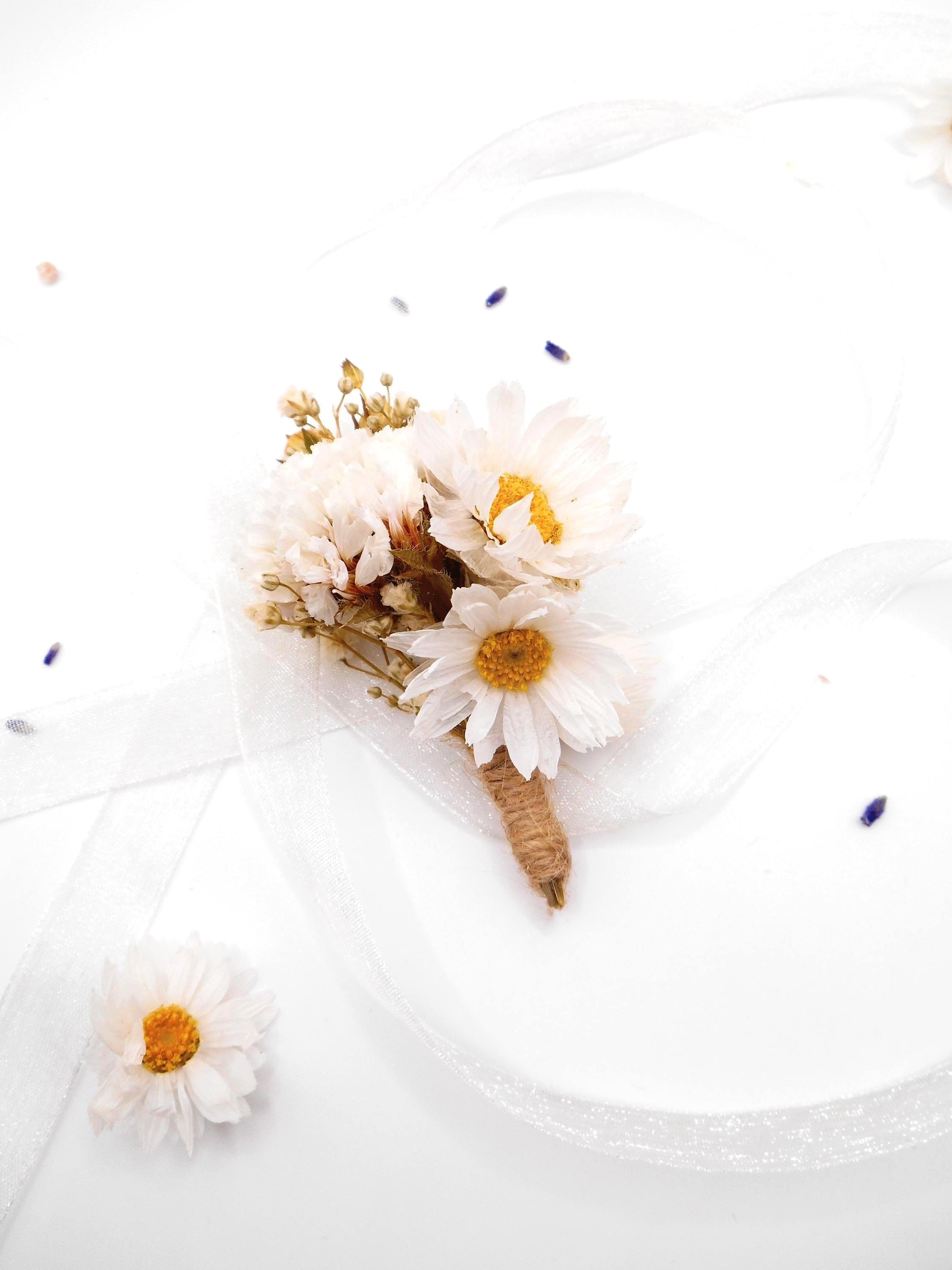 Haarkamm mit weißer Margerite & Schleierkraut | Klassischer Braut-Haarschmuck aus Trockenblumen, minimalistisches Accessoire für Hochzeitsgäste, elegante Blumenklammer